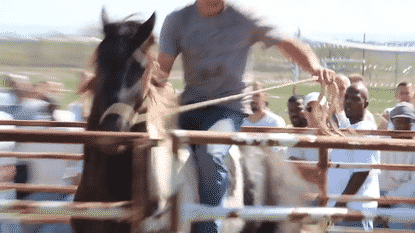 Todd Pierce training a horse at Angola State Prison