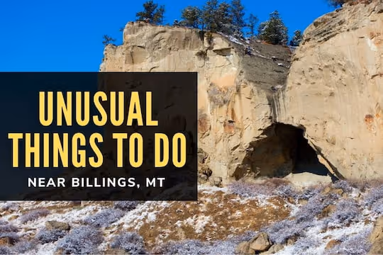 Unusual Things to Do Near Billings, MT - Pictograph Cave State Park