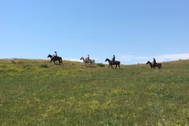Little Bighorn Tours