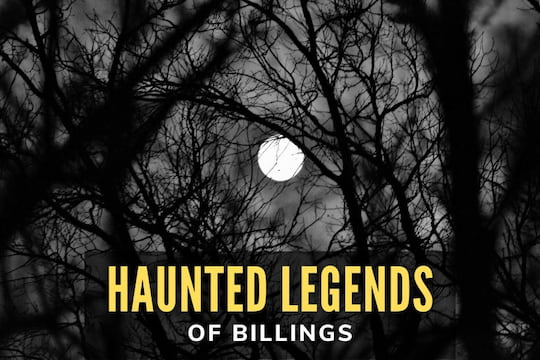 Haunted Legends of Billings - Scary view of the moon in the forest