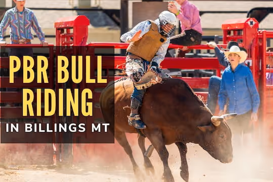 PBR Bull Riding in Billings MT