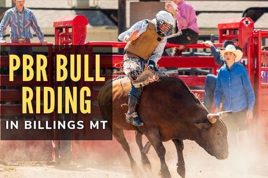PBR Bull Riding in Billings MT
