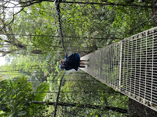 Crossing a rainforest canopy suspension bridge in rain jackets