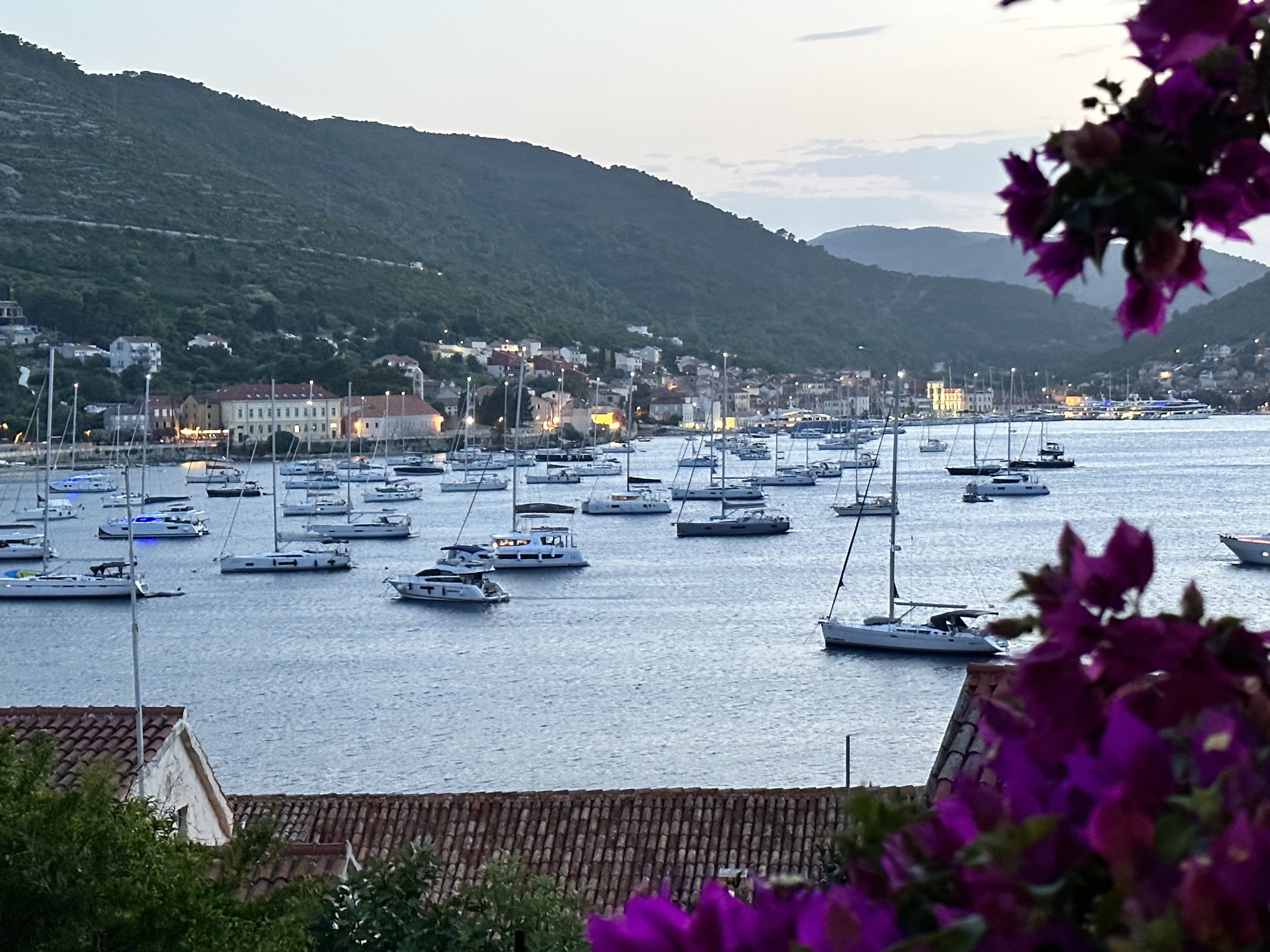 Evening view of the harbor with bougainvillea, Croatia 2023
