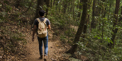 man walking on dirt trail in forest surrounded by tall trees and green undergrowth