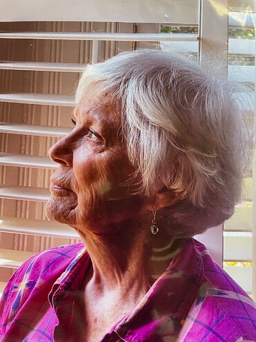 Ann Lynn Trowbridge Tollefson