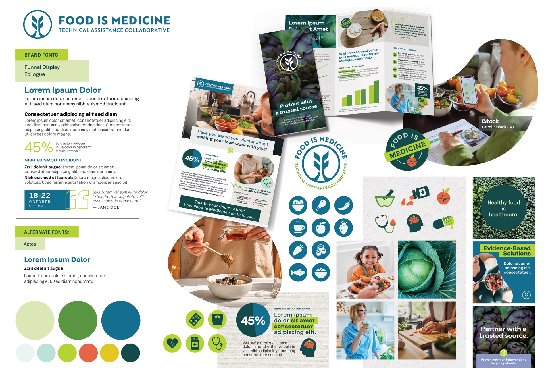 The mood board for the Food Is Medicine program, including fonts, colors, graphics, textures, photography, and mockups