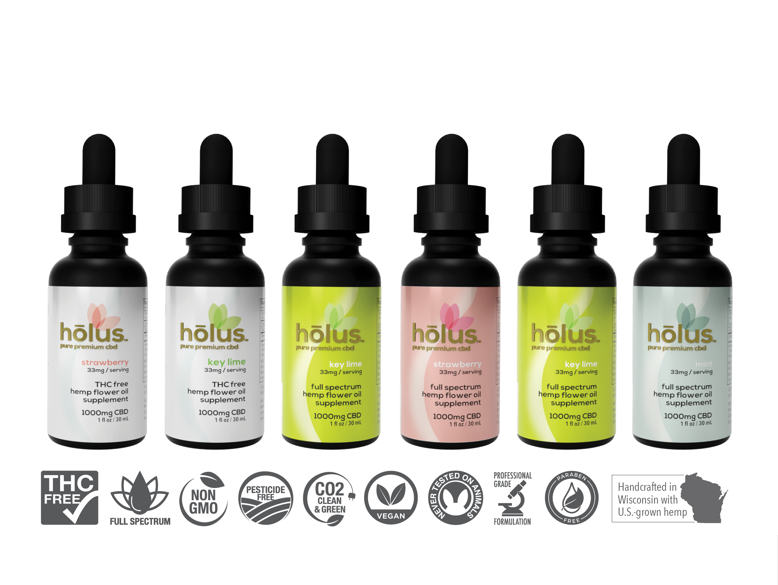 holus branding design by Lafsa + Co marketing agency.
