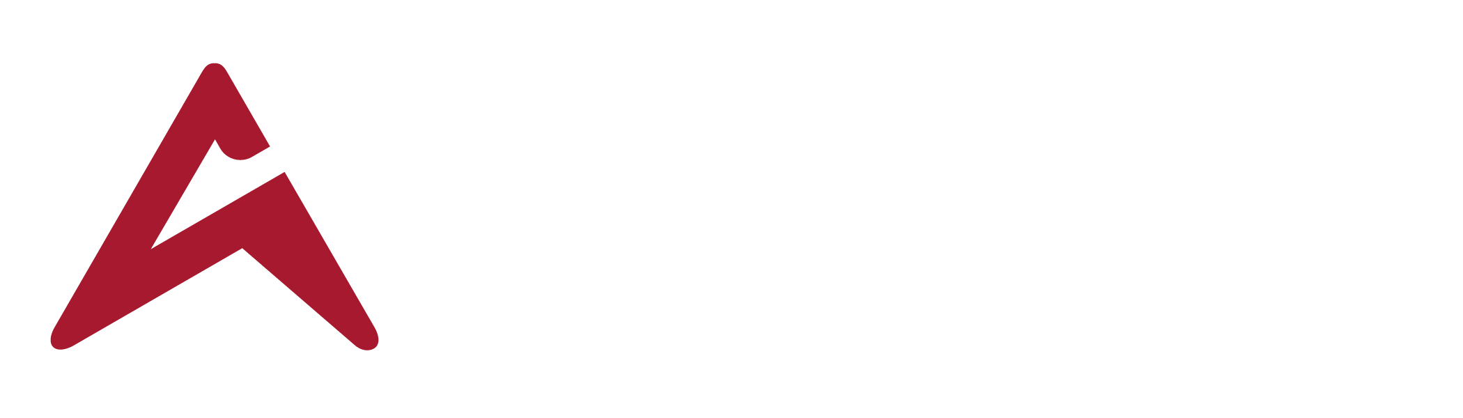 APEX logo