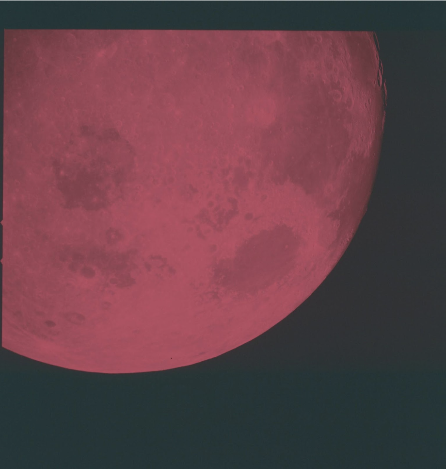 Timofeeva, Oxana. Solar Politics. Cambridge: polity, 2022.