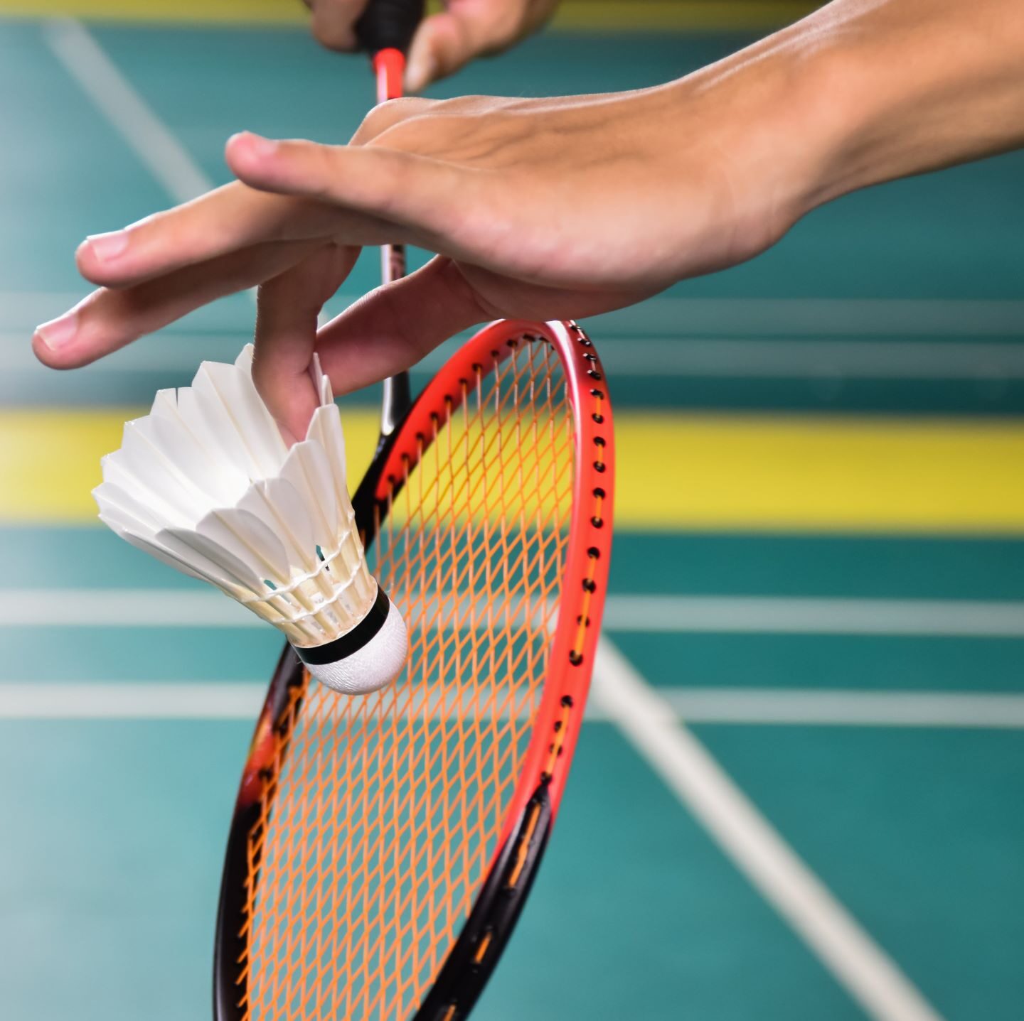 A badminton racquet, and a shuttlecock held in the hands of a player