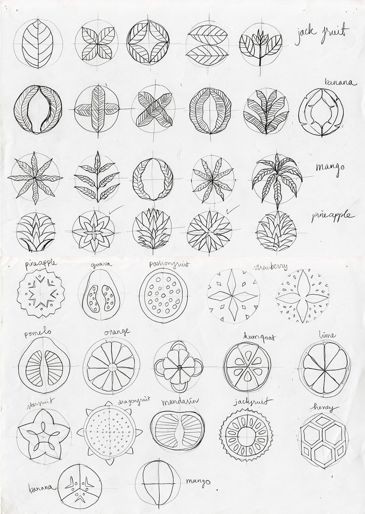 Le Fruit icons in sketch phase