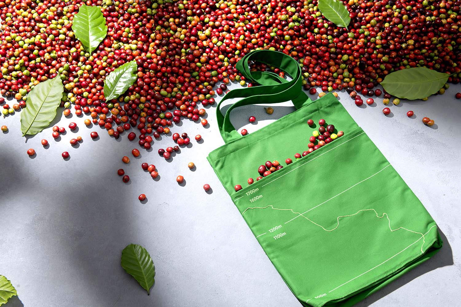 Minh Tien Coffee new logo and visual identity X Bratus