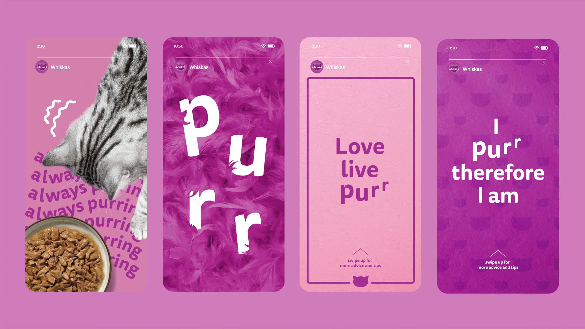 Whiskas Vietnam new logo and visual identity X Elmwood