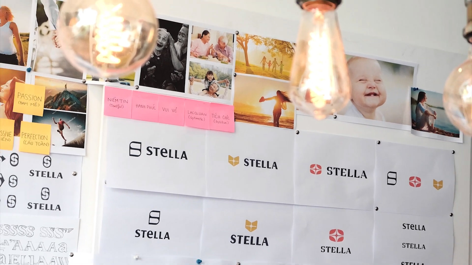 STELLA Pharma logo design process