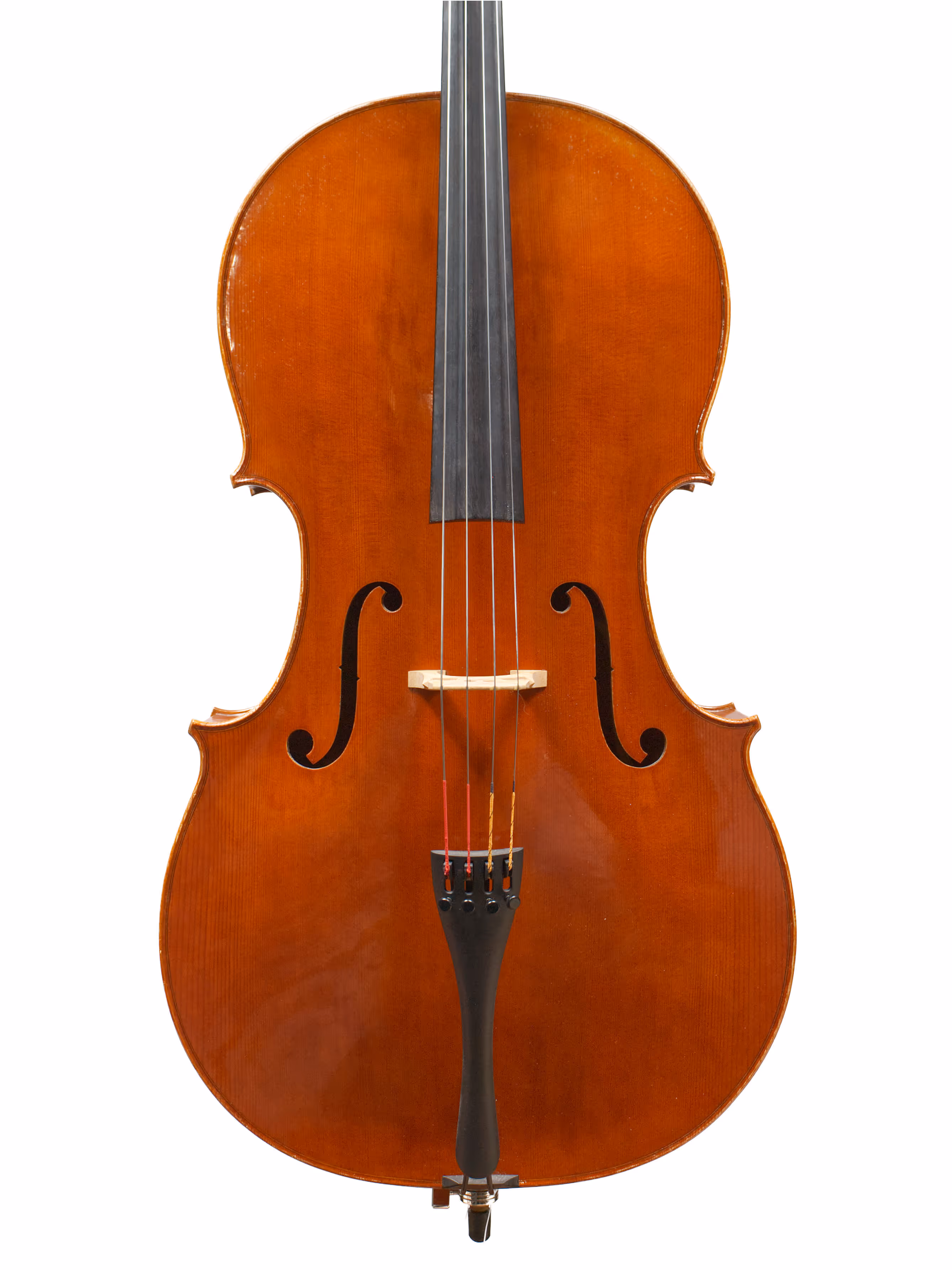Cello by Matthias von Wallbrunn, 2011