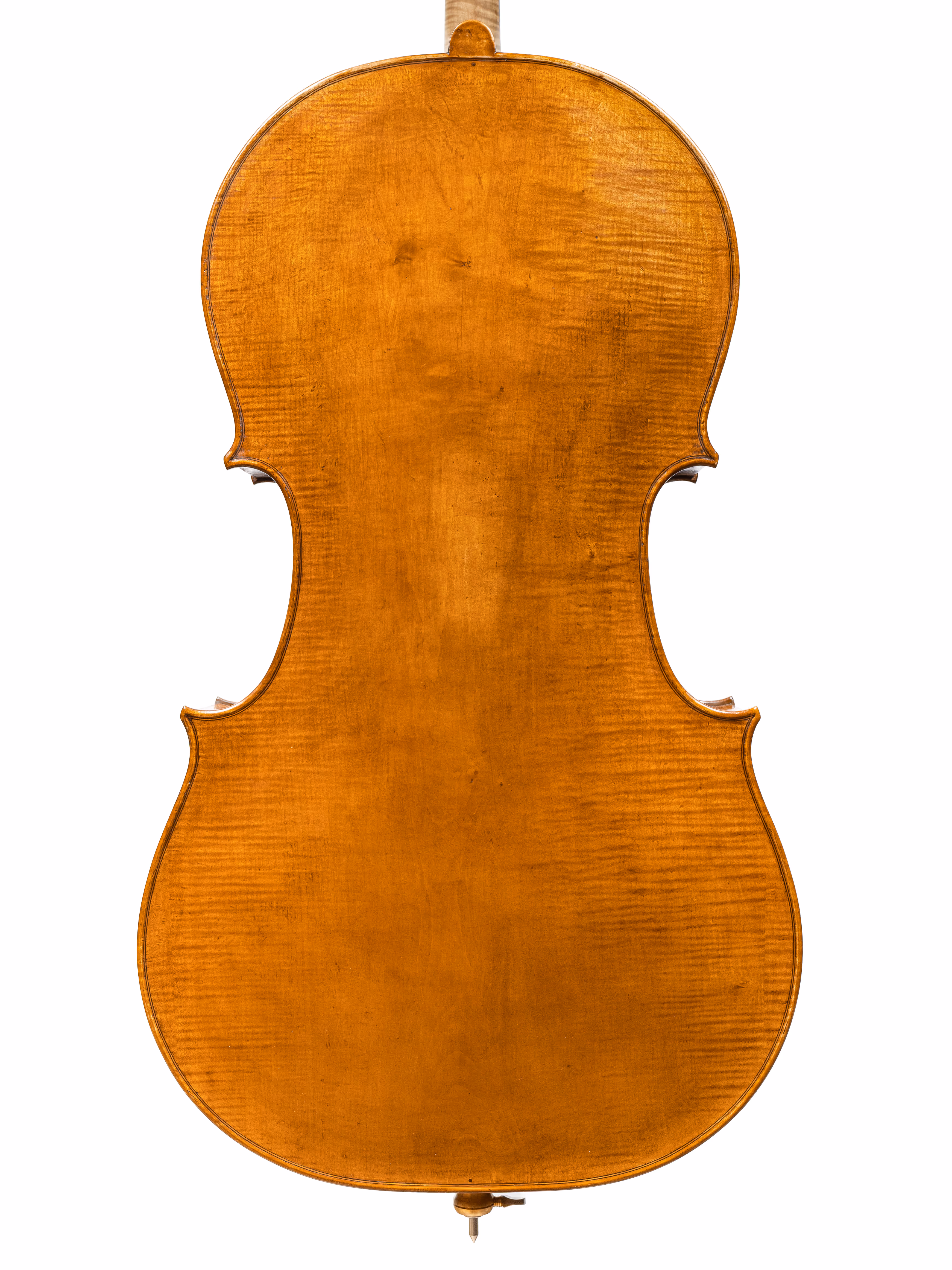 Cello by Stefano Marzi, 2021