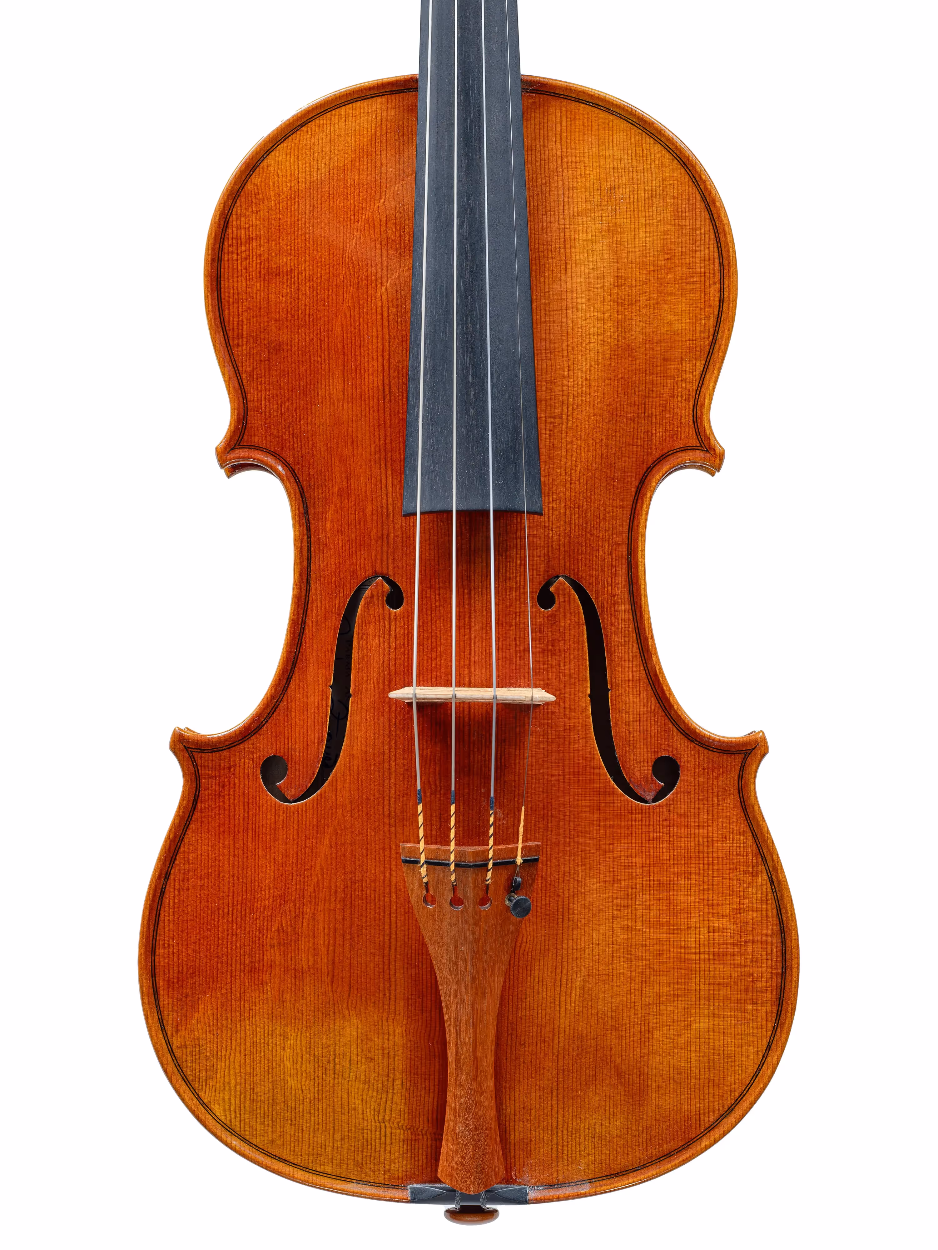 Violin by Scrollavezza & Zanrè, Parma 2023