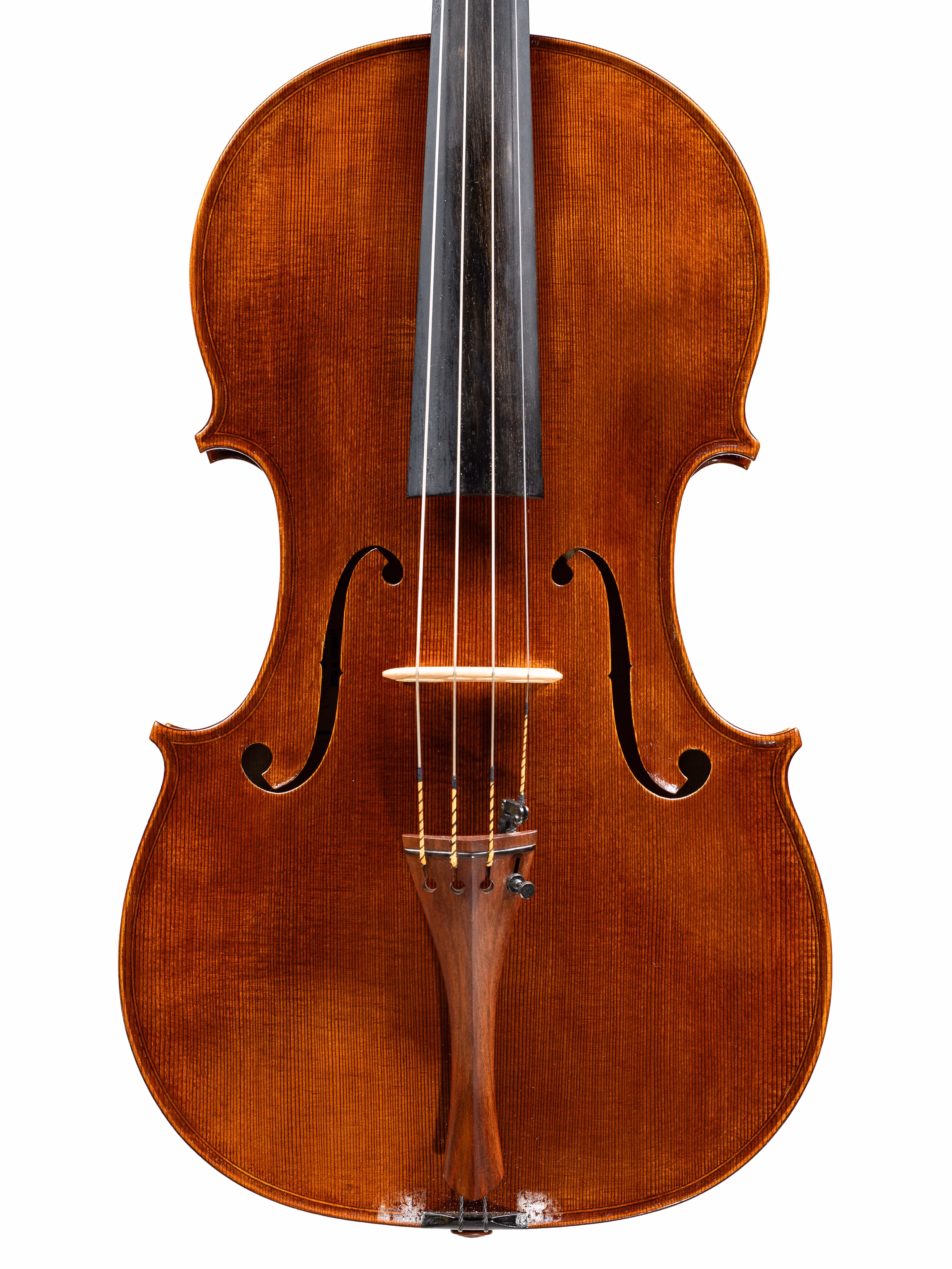 Viola by Benoit Bonten, 2023