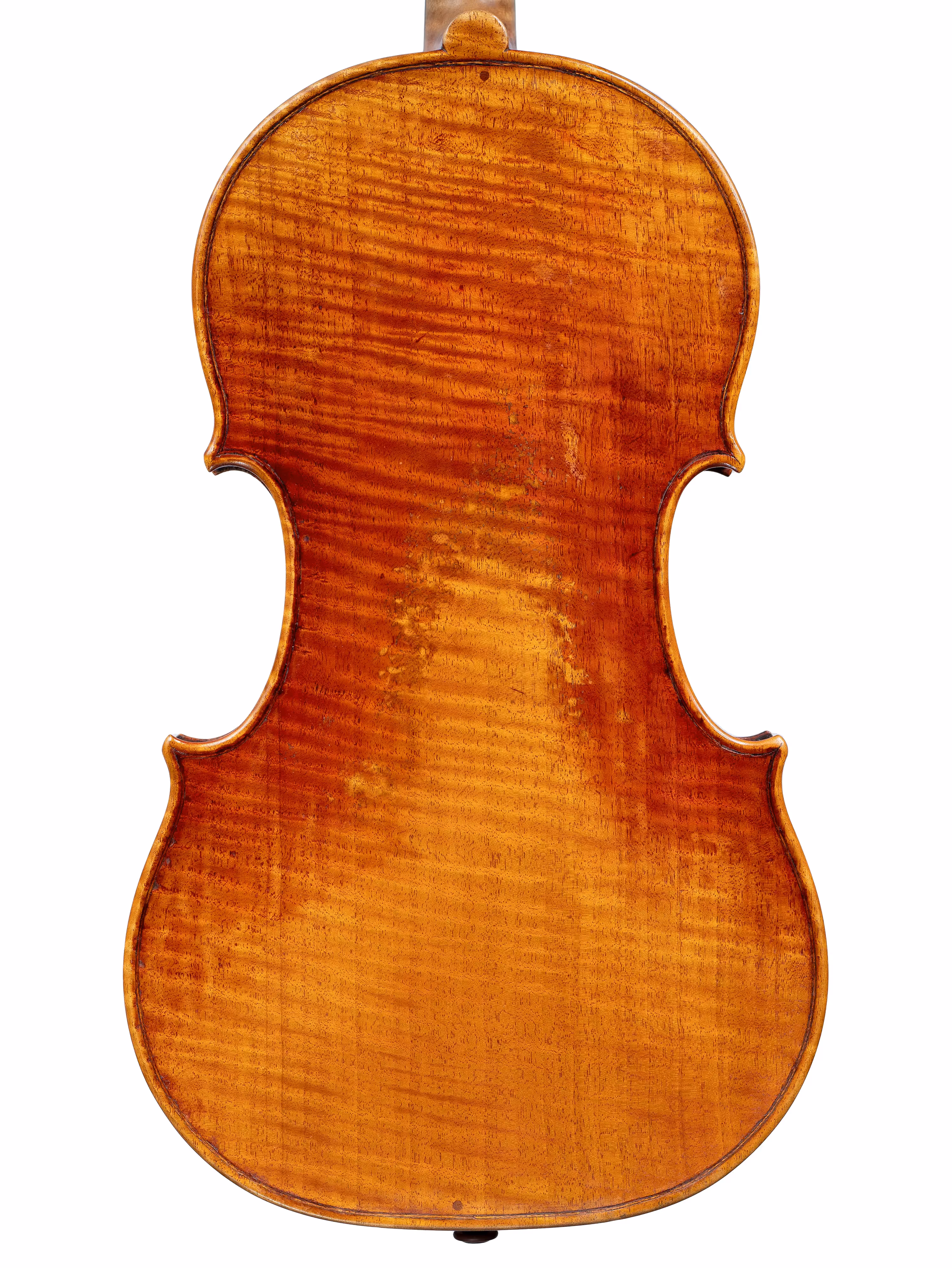 Viola by Pierre Smets, Brussels 2023