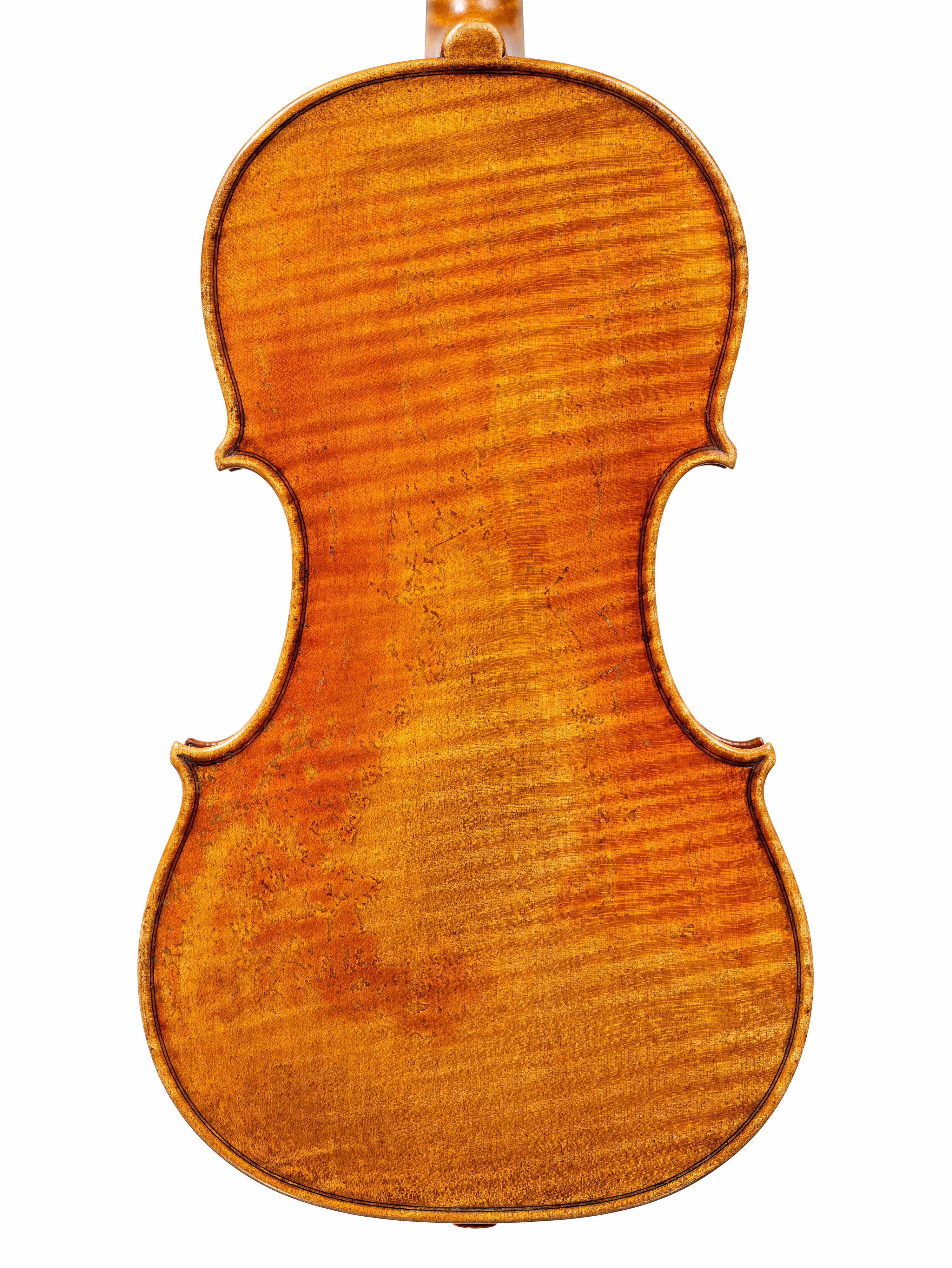 Violin by Gonzalo Bayolo, 2024 