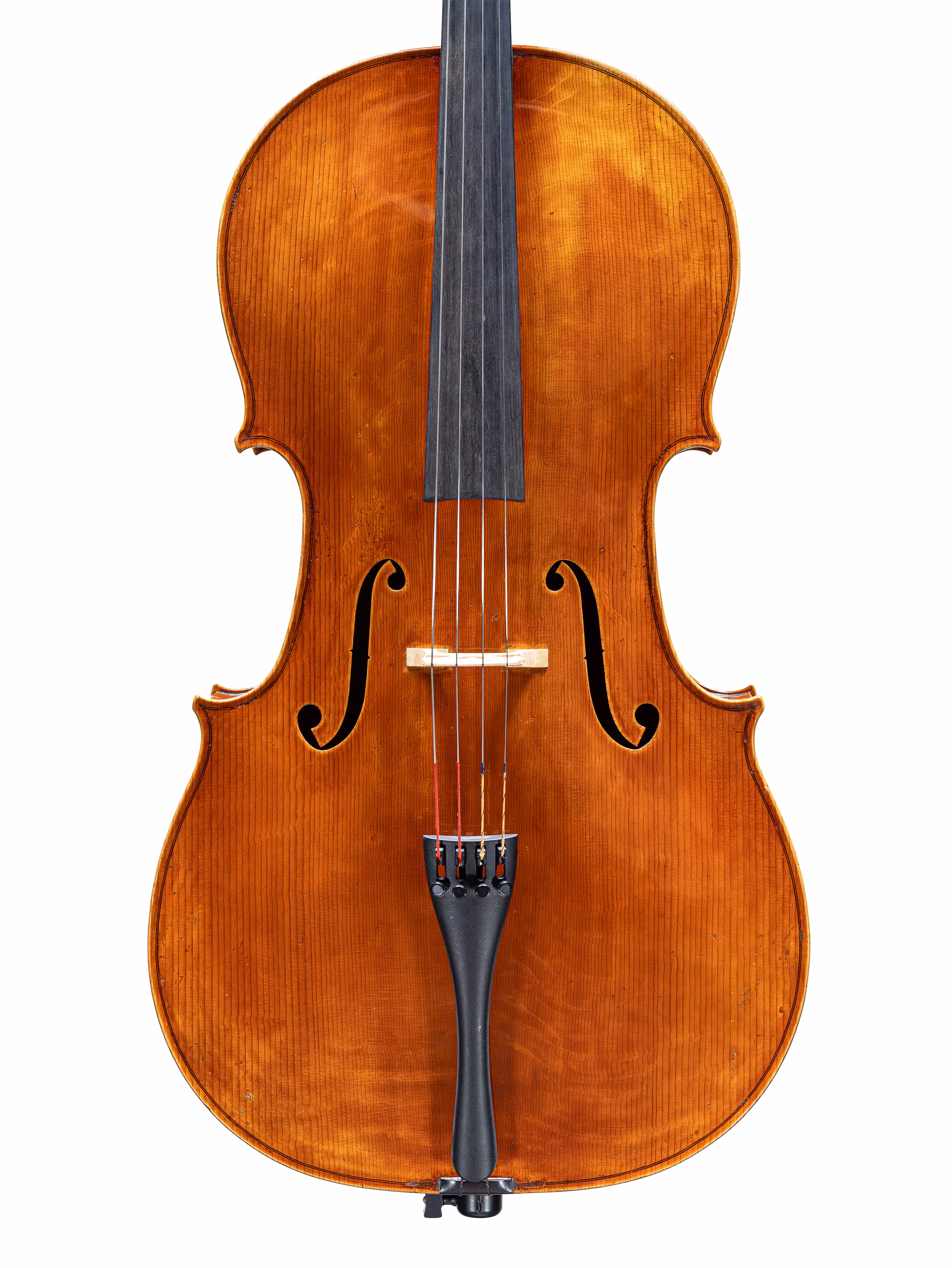 Cello by Leo Goujard Spiga, France 2021