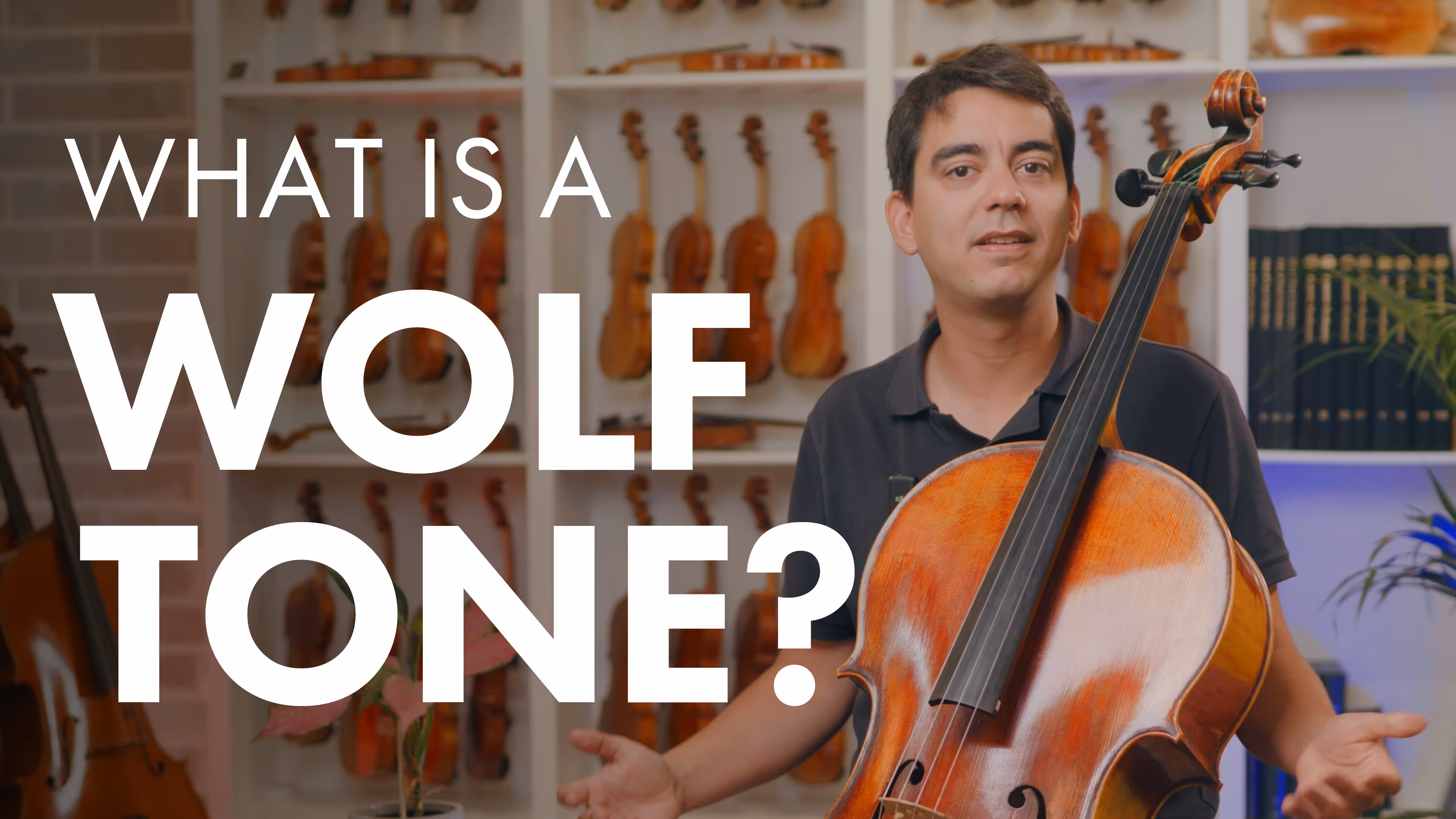 Understanding Wolf Tones in Stringed Instruments: A Comprehensive Guide