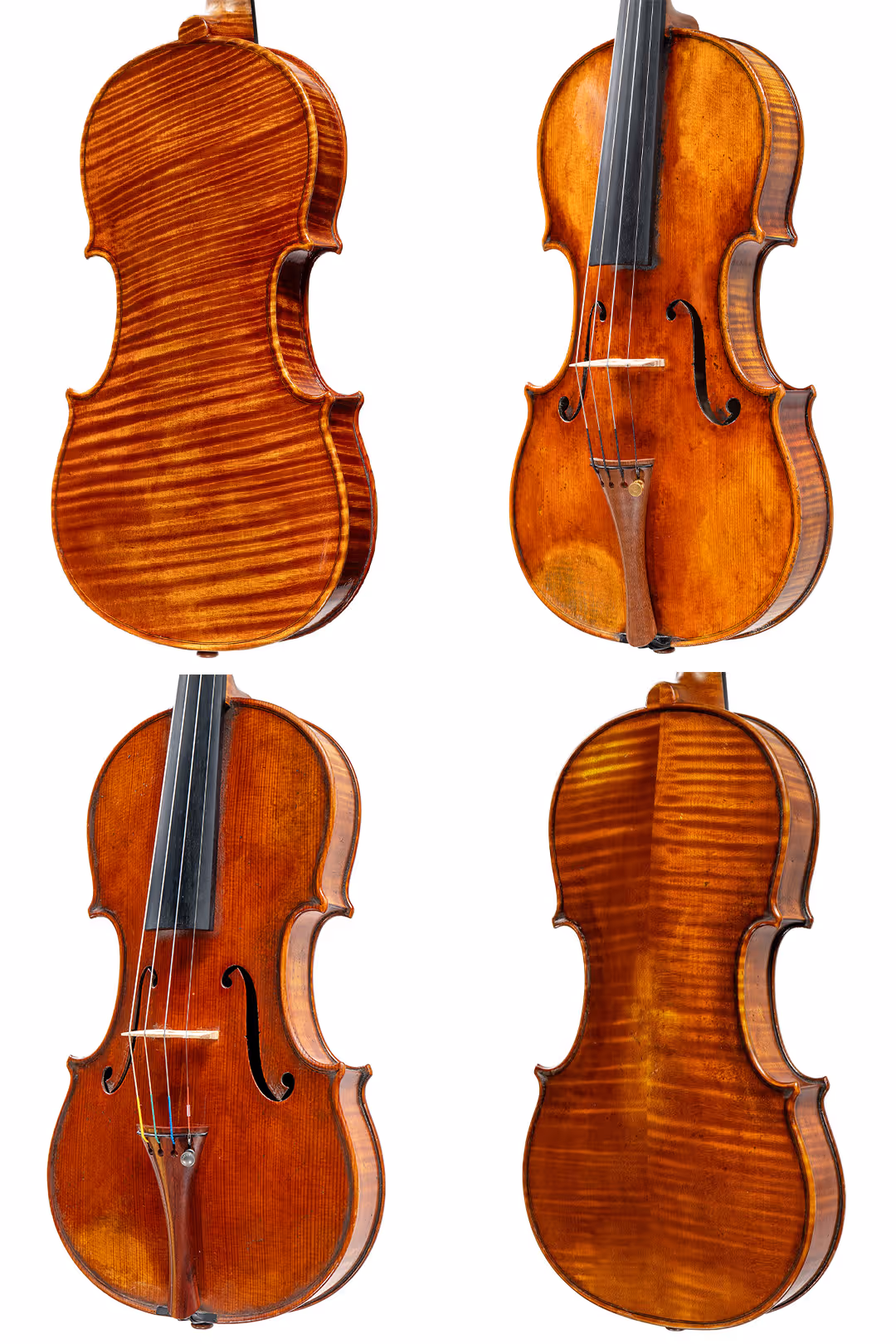 atelier myluthier violins
