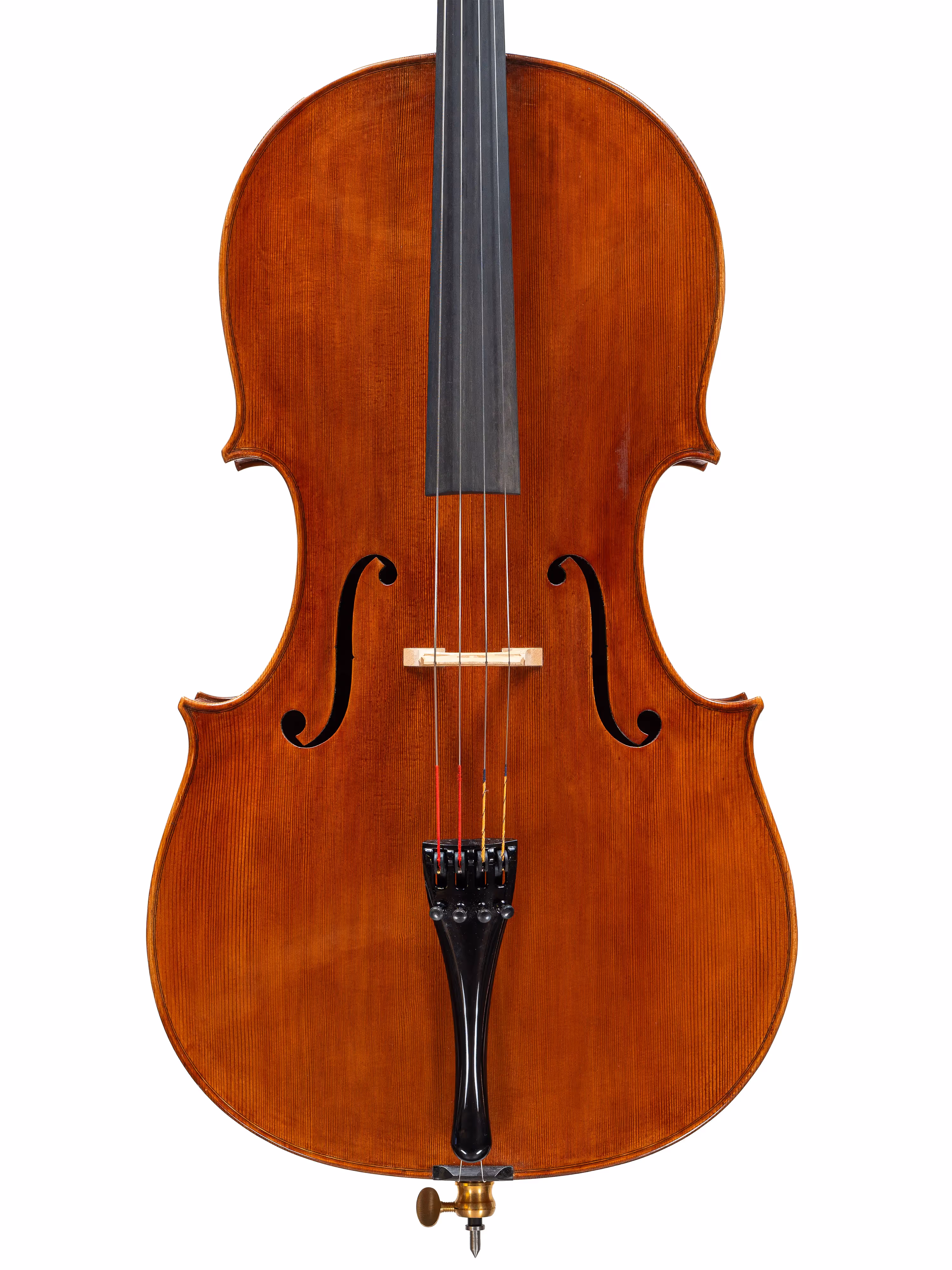 Cello by Stefano Marzi, 2024 Montagnana