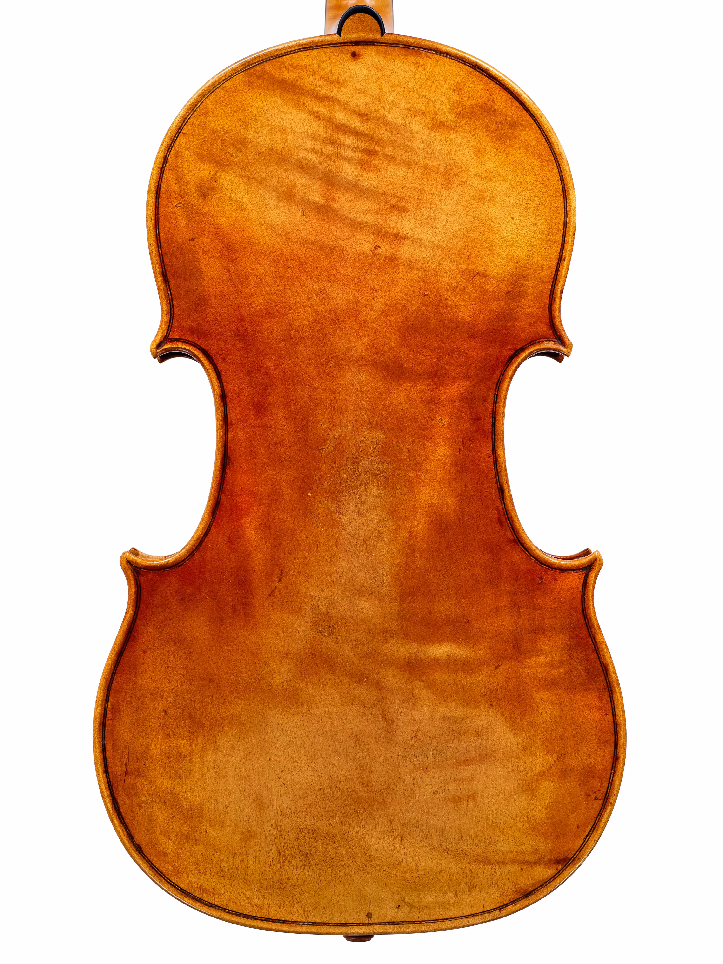 Viola by Pierre Smets, Brussels 2024