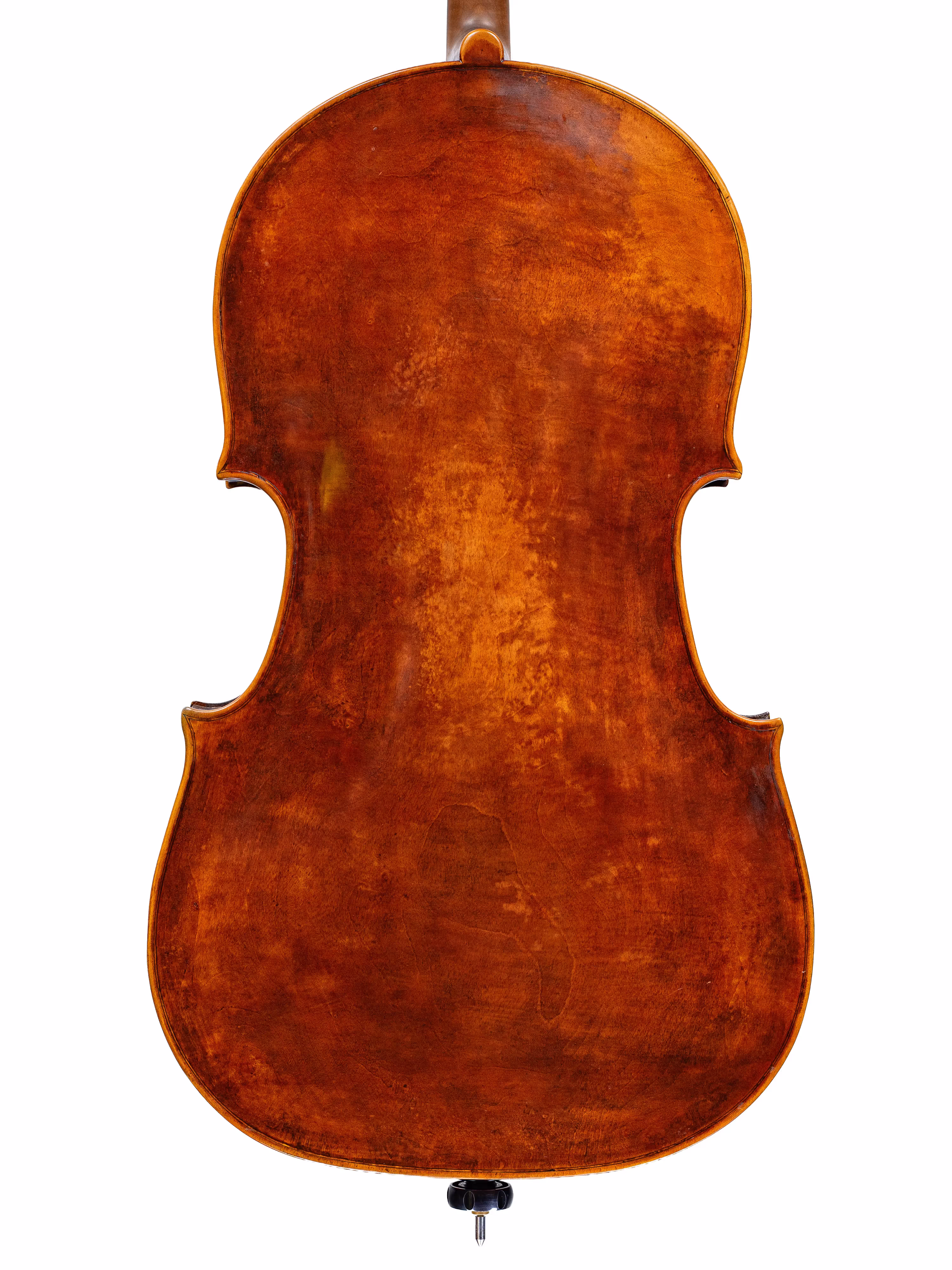 Cello by Tony & Louise Padday, 2023 