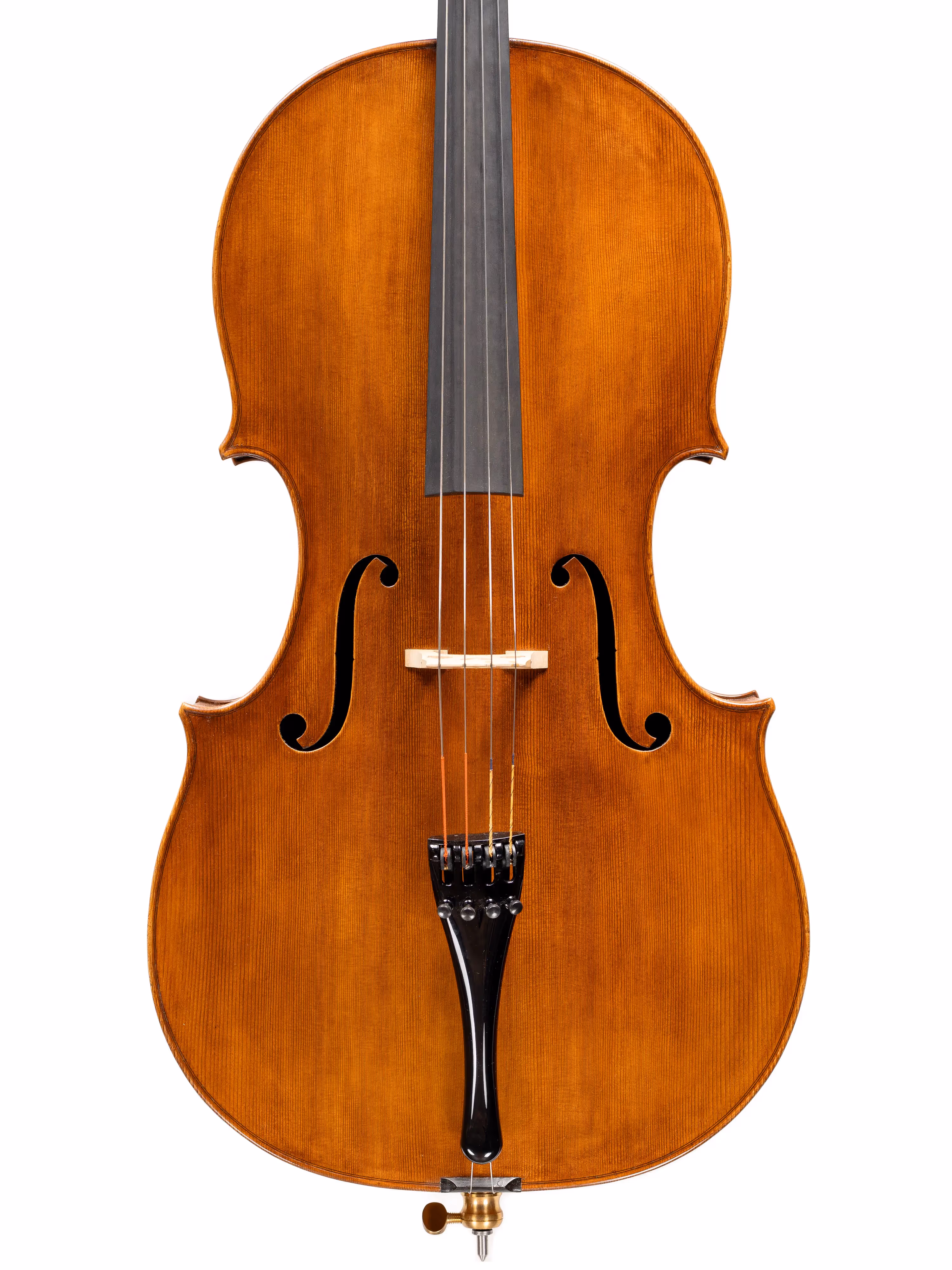 Cello by Stefano Marzi, 2025 Montagnana