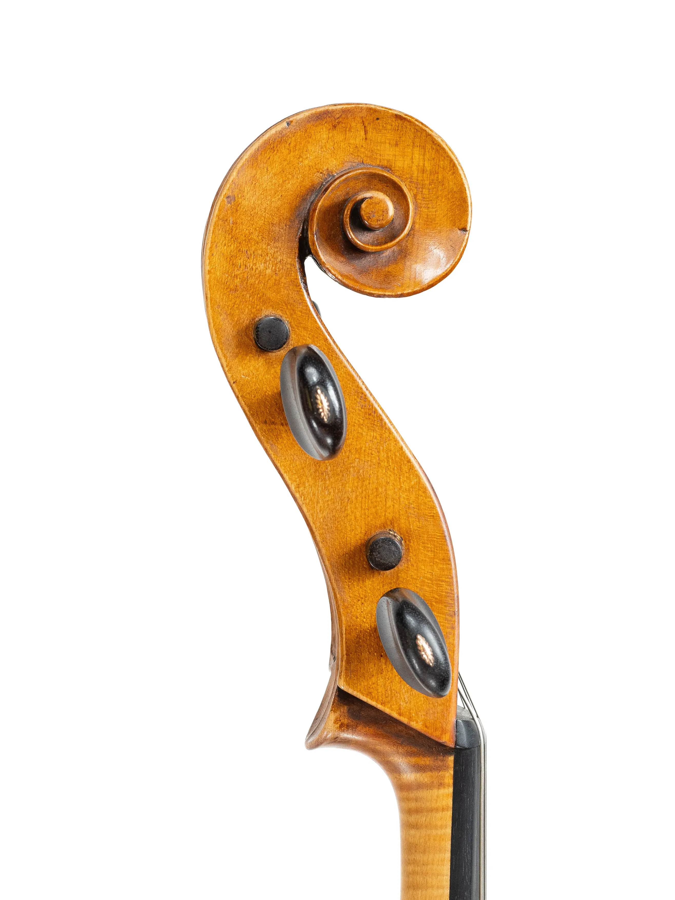 Cello by Carlo Antonio Testore, Milan c.1730 to 1740