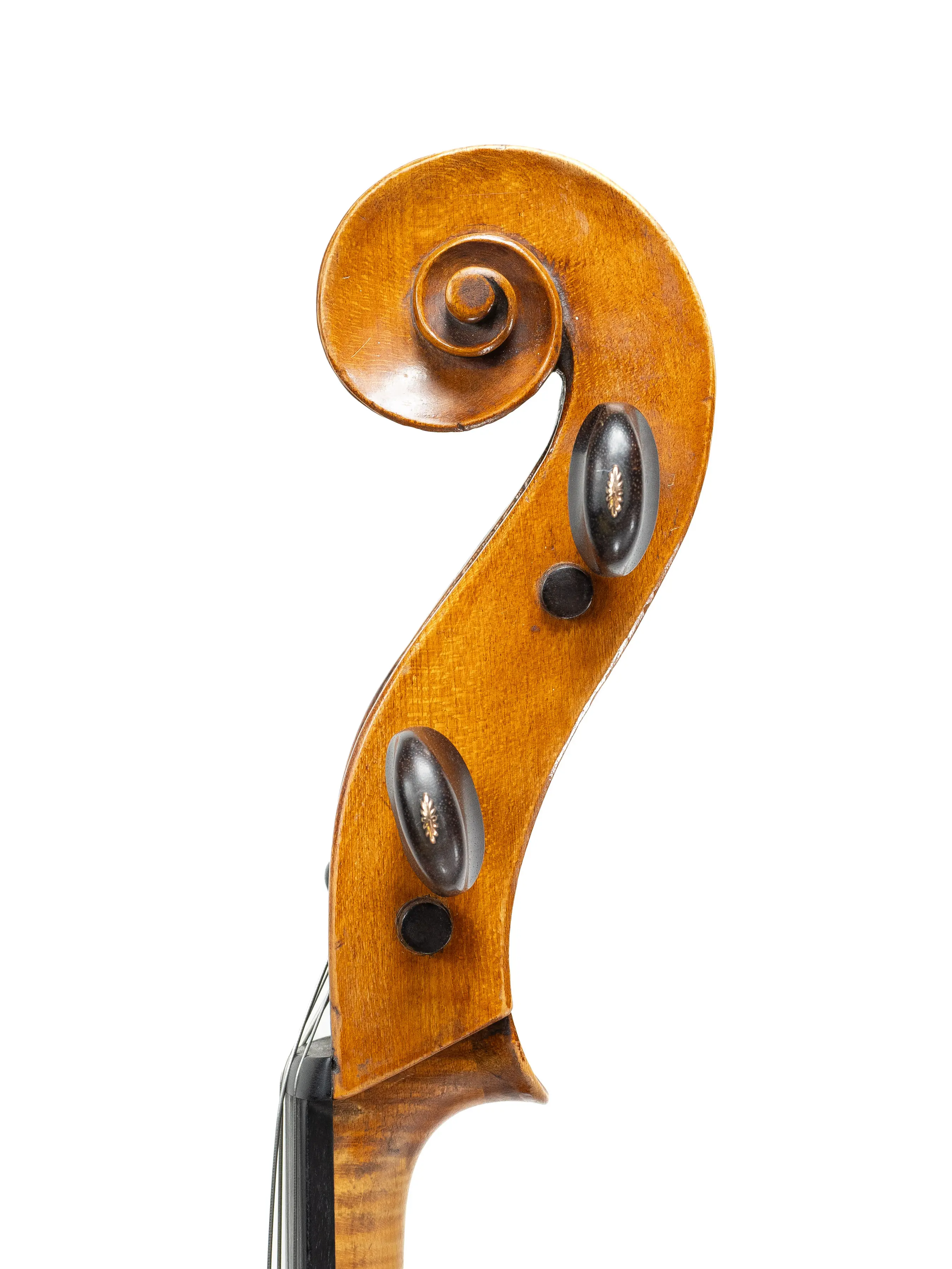 Cello by Carlo Antonio Testore, Milan c.1730 to 1740