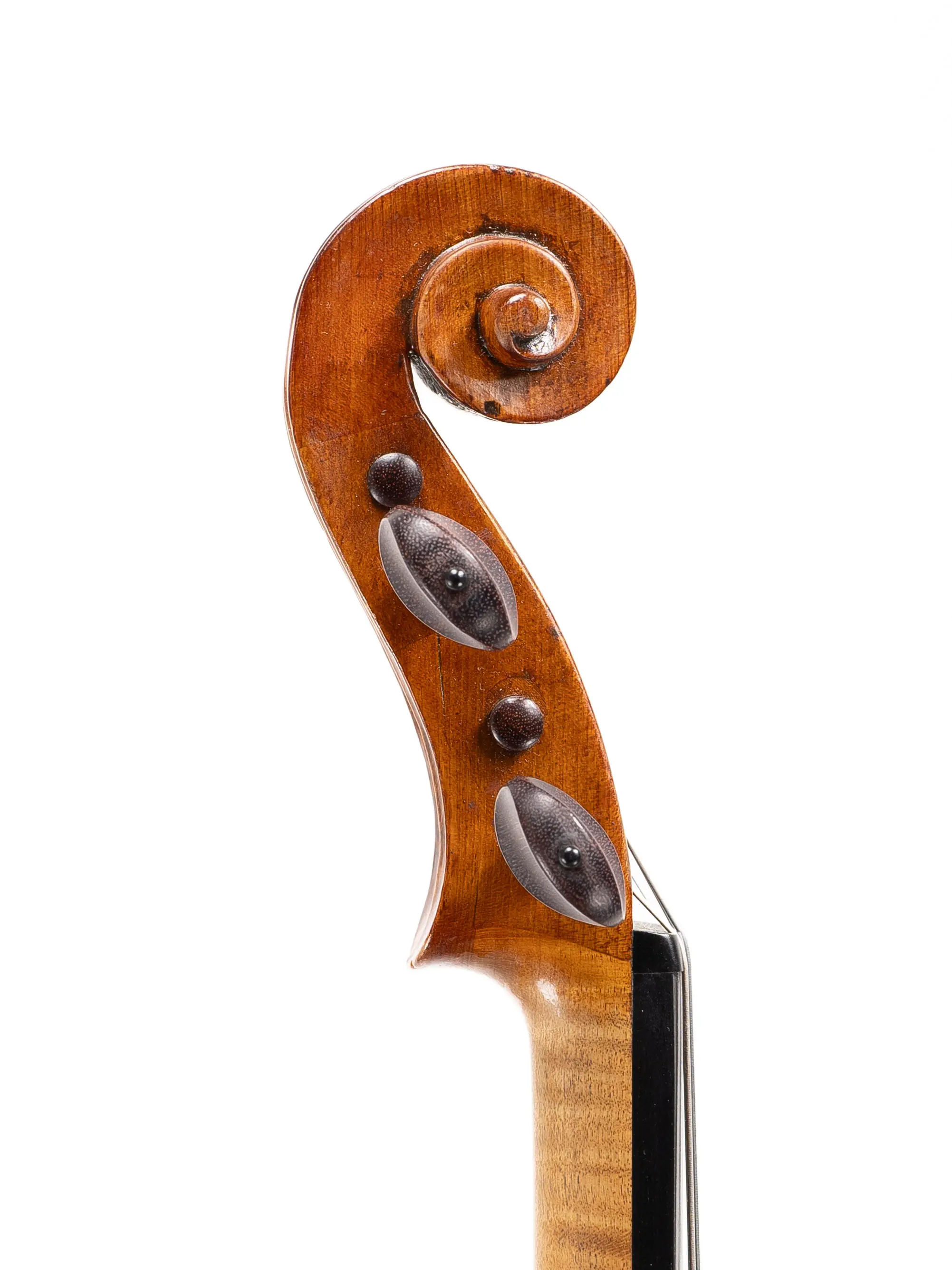 Violin by Carlo Antonio Testore, Milan 1759