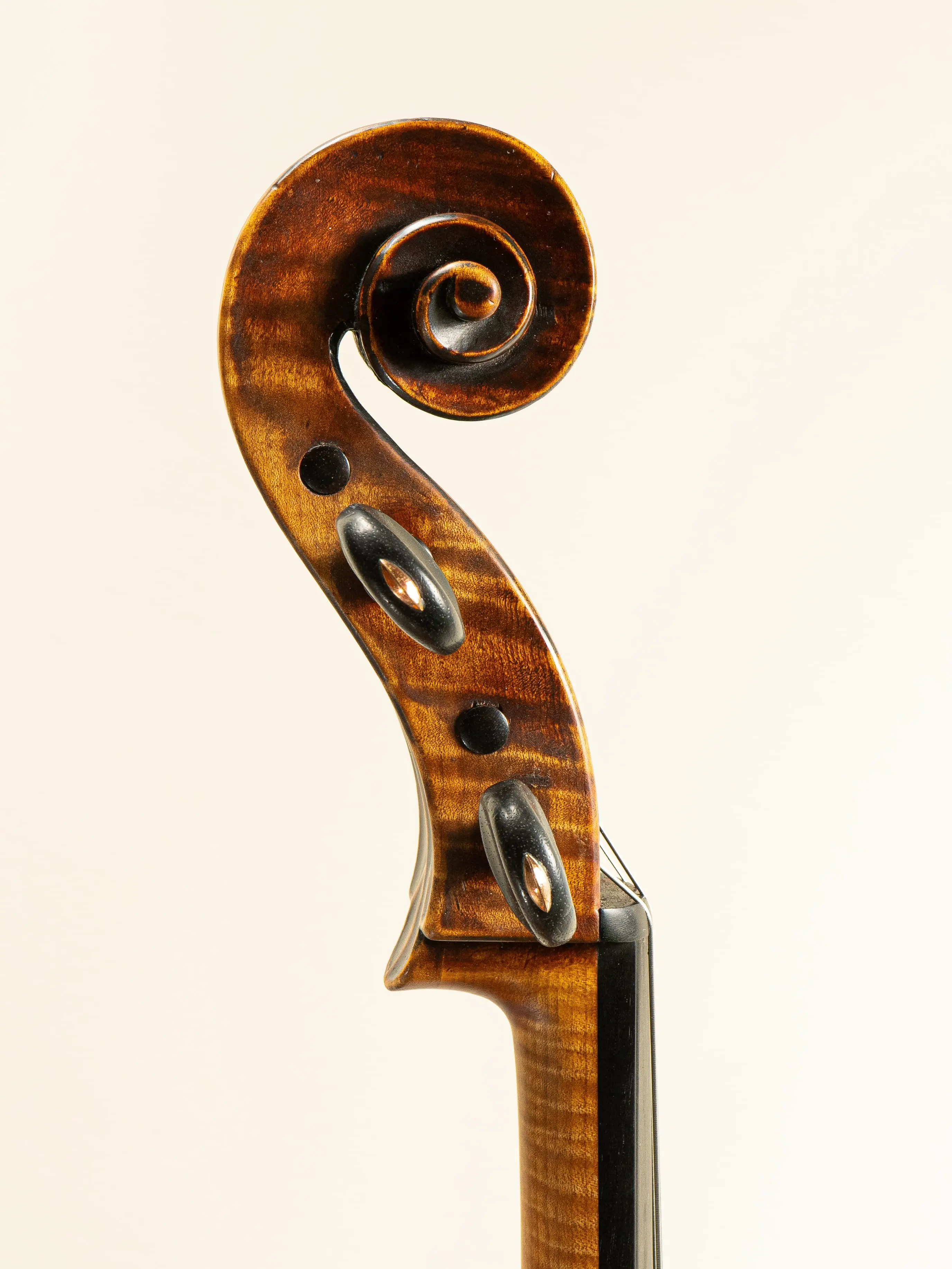 Cello by Auguste Sébastien Bernardel Père, Paris 1840