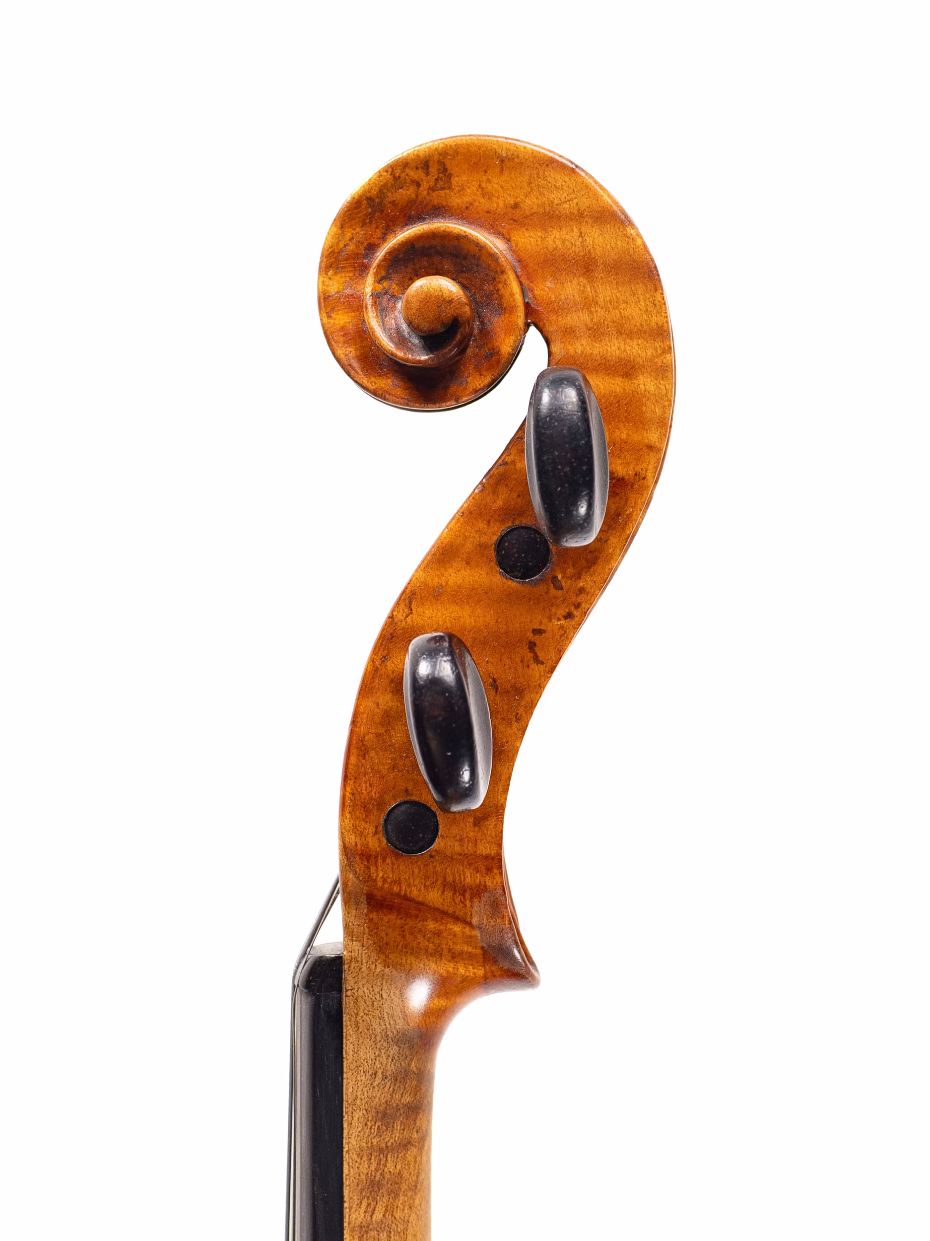Violin by Johannes Cuypers, 1793