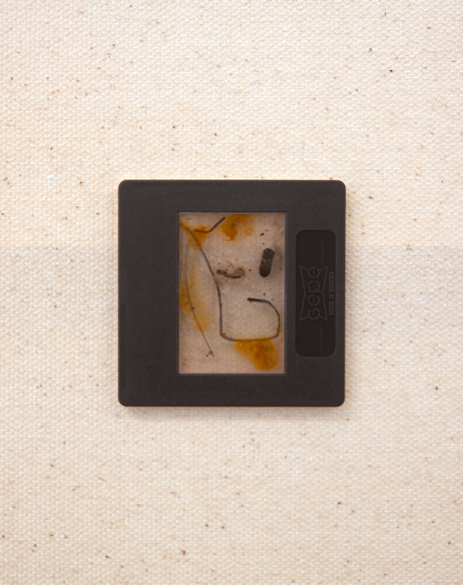 Dead waters - Dødvande. Slide, acetate, seaweed, salt, medium. Mounted on canvas 