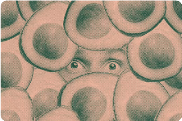 Person buried under avocados