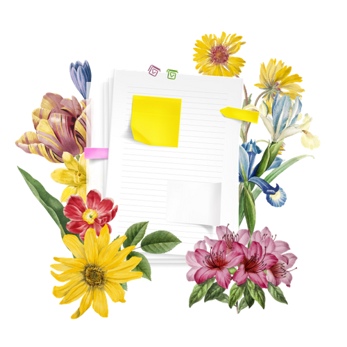 Terms Conditions Collate Beauty