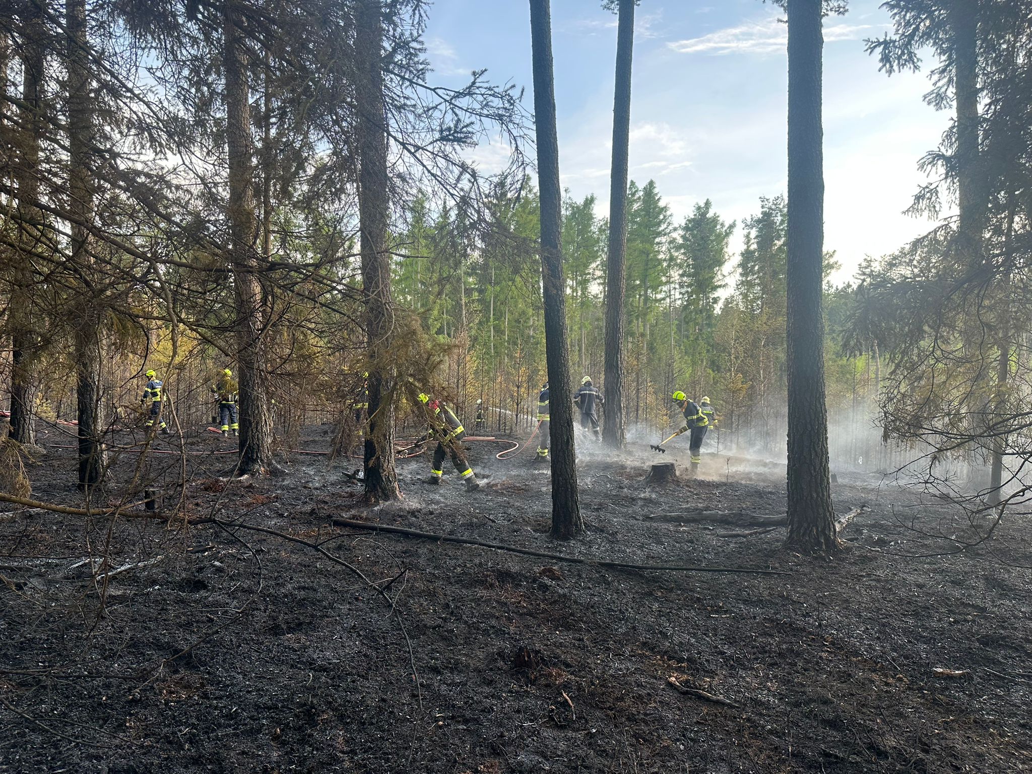 Waldbrand in Tschechien