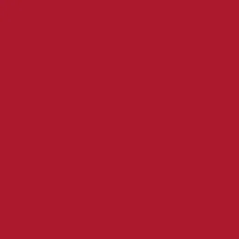 Agway corrugated steel swatch in Bright Red