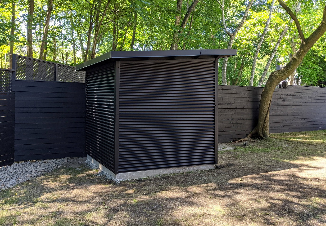 8' x 8' Essential Garden Shed with Jet Black Steel