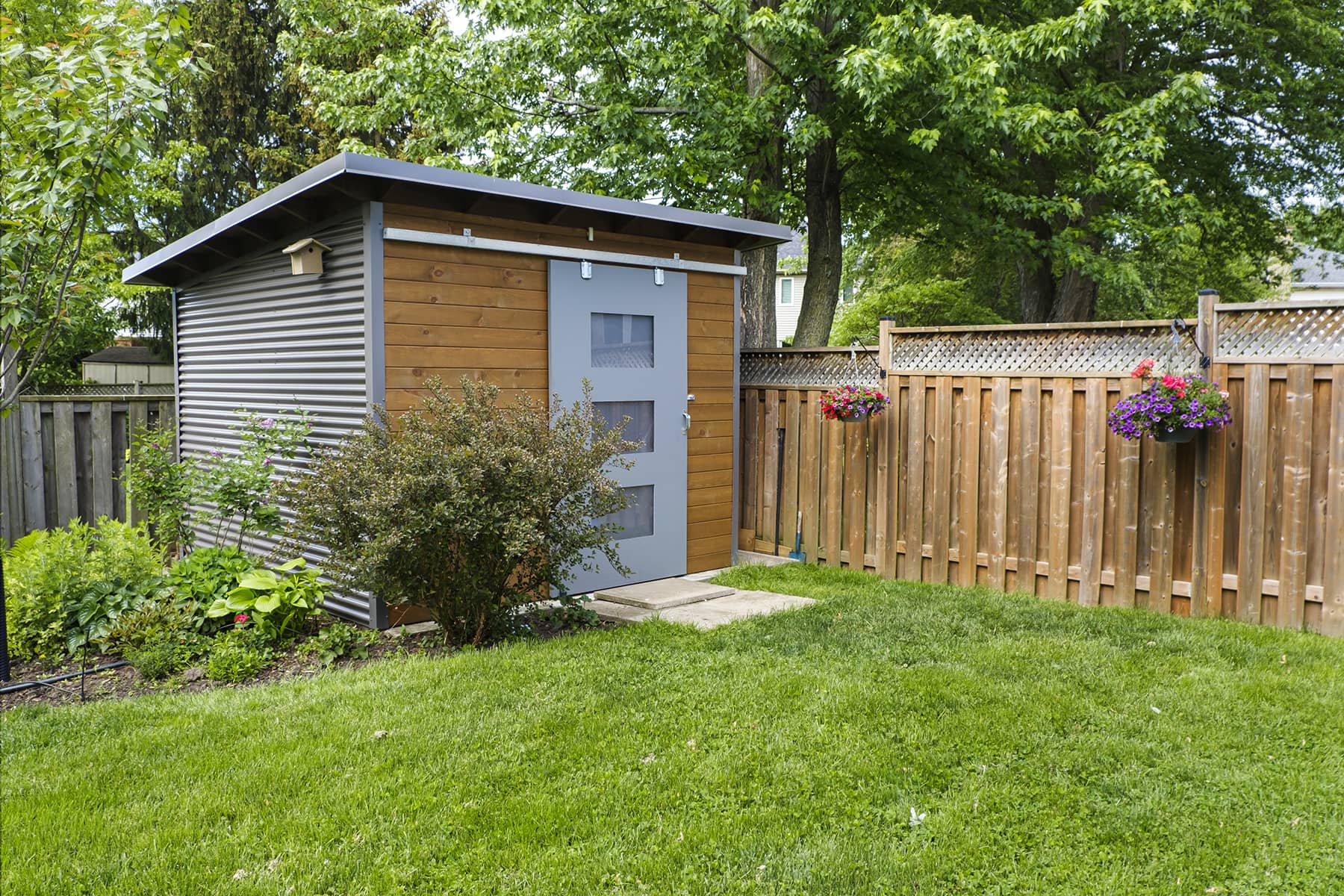 12' x 8' Advanced Shed with Eastern White Cedar and Jet Black Steel