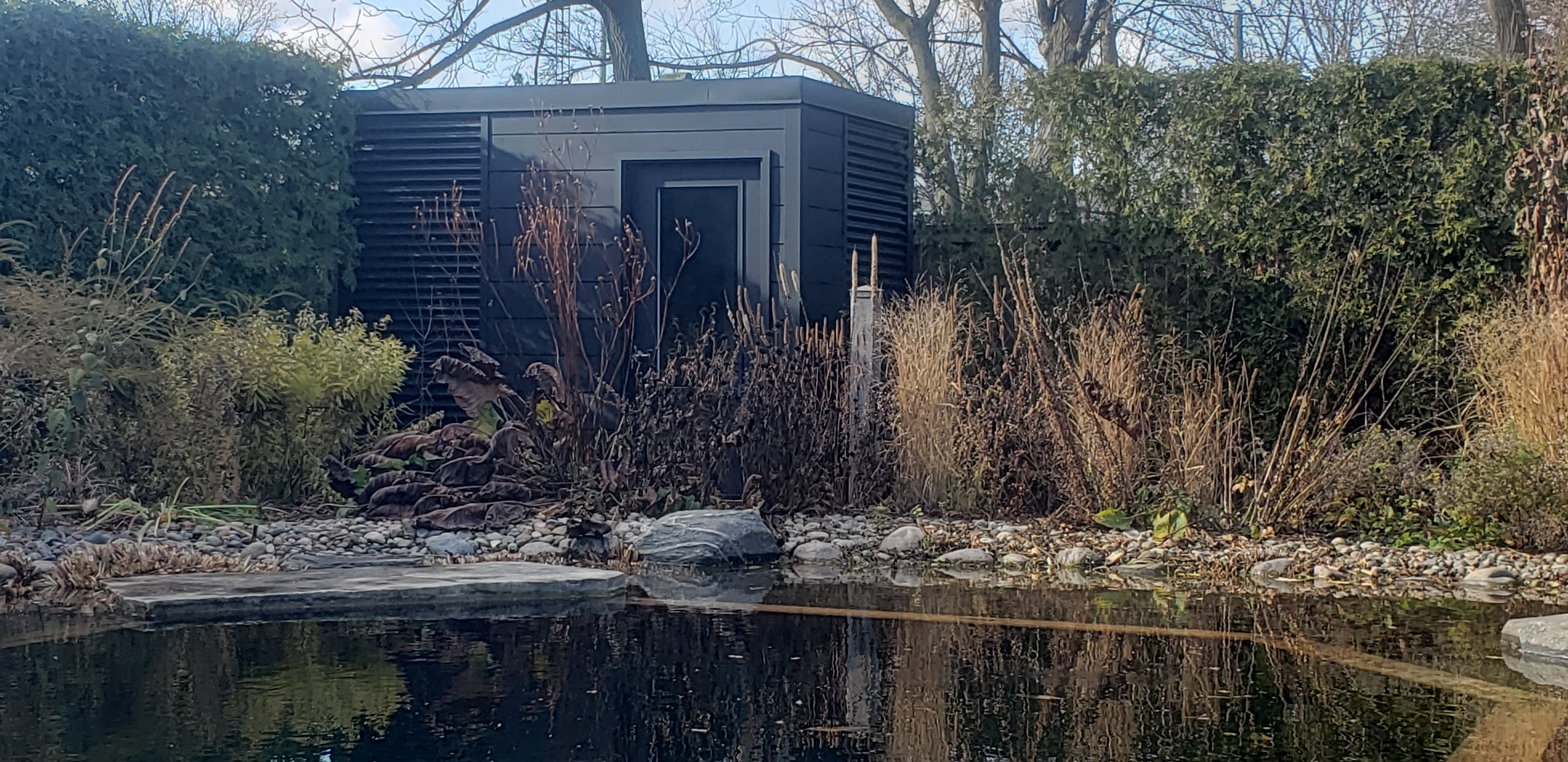 Modern backyard studio with cedar siding installed in a Brampton Ontario backyard
