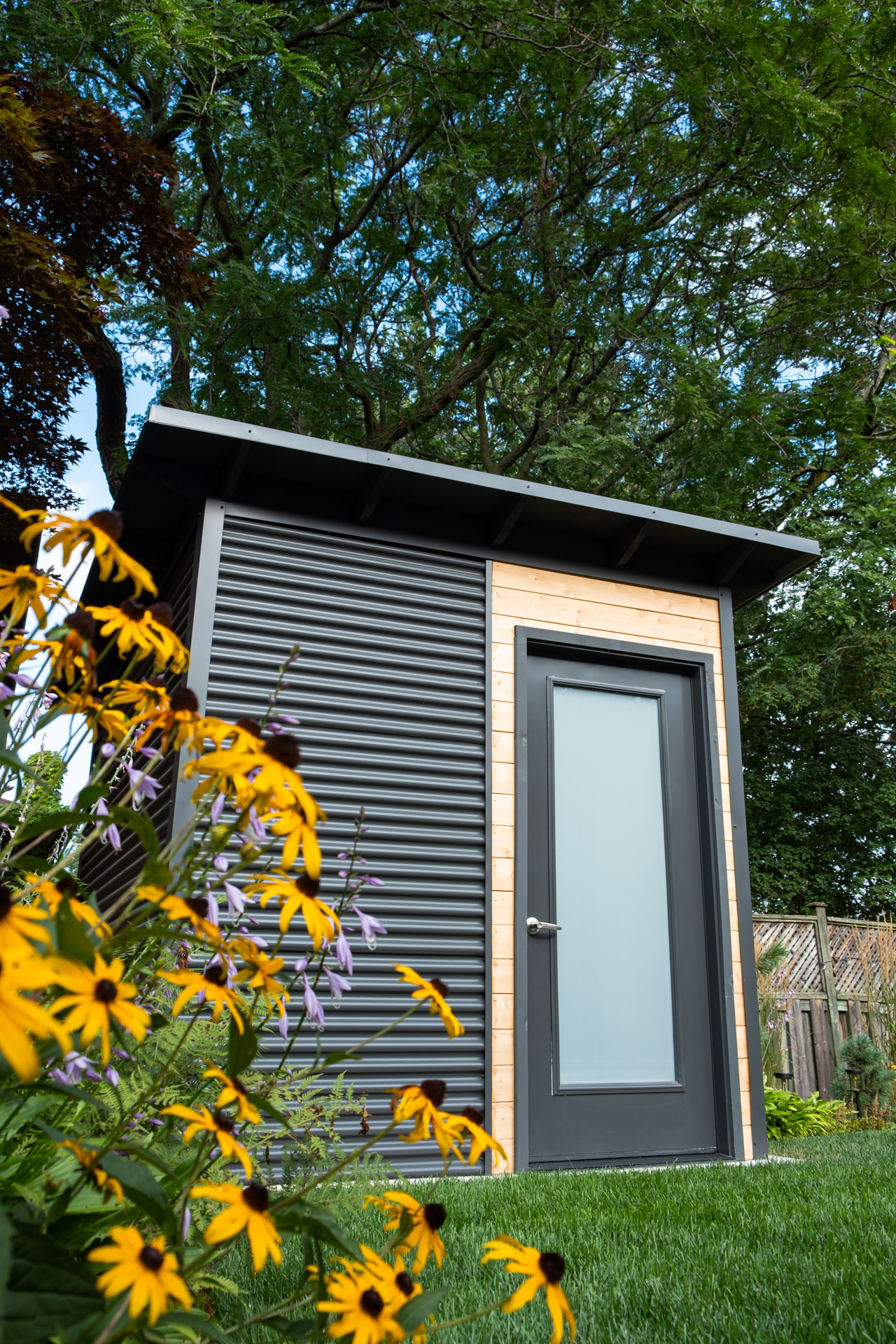 8x8 Garden Shed in Etobicoke Ontario with Iron Ore corrugated steel siding, Eastern White Cedar accent panels, and a frosted glass inswing door, an Essential Shed installed by Backyard Escape Studios.