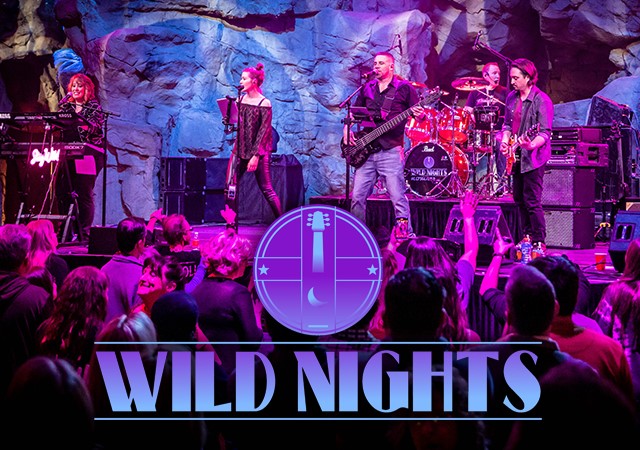 WILD NIGHTS