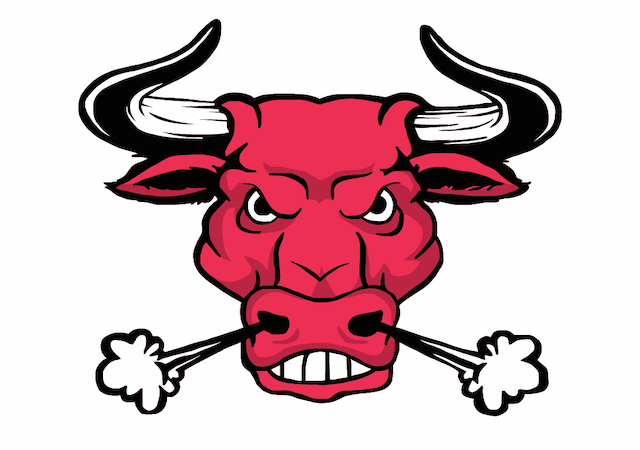 BULL RIDES