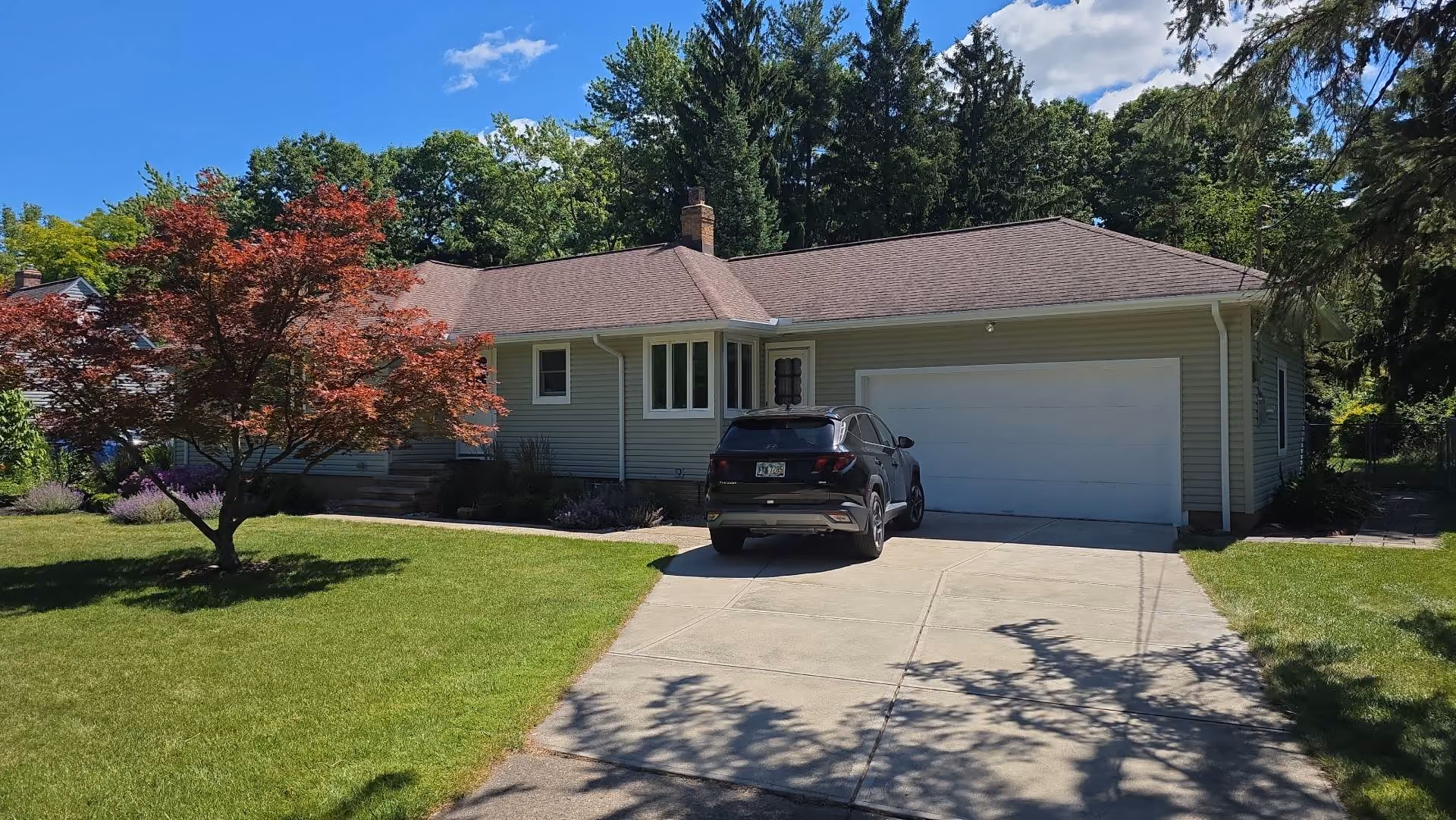 Designed and renovated home in soft olive
