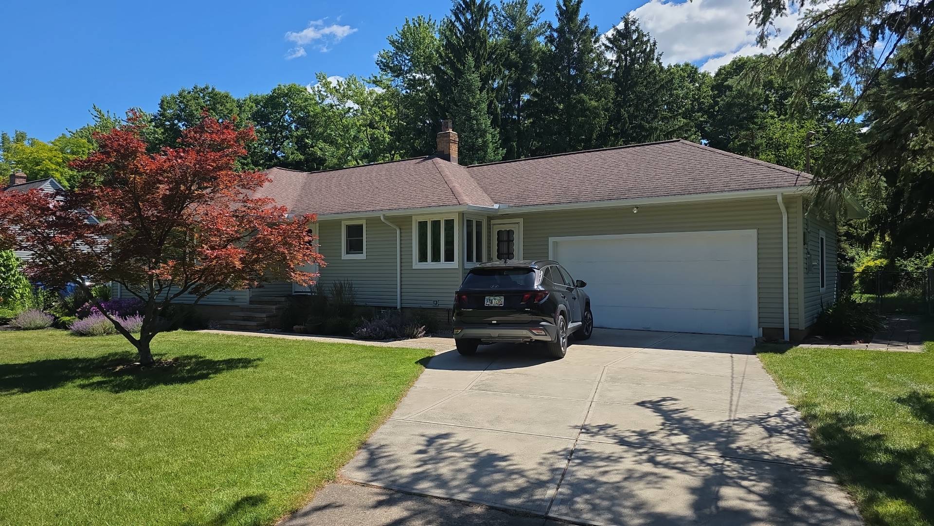 Designed and renovated home in soft olive